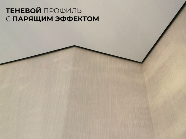 Натяжной потолок в зал